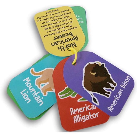 SOLD-Backpack Flash Cards - 20 Pc on Plastic Ring (North American Wildlife) - Picture 3 of 5